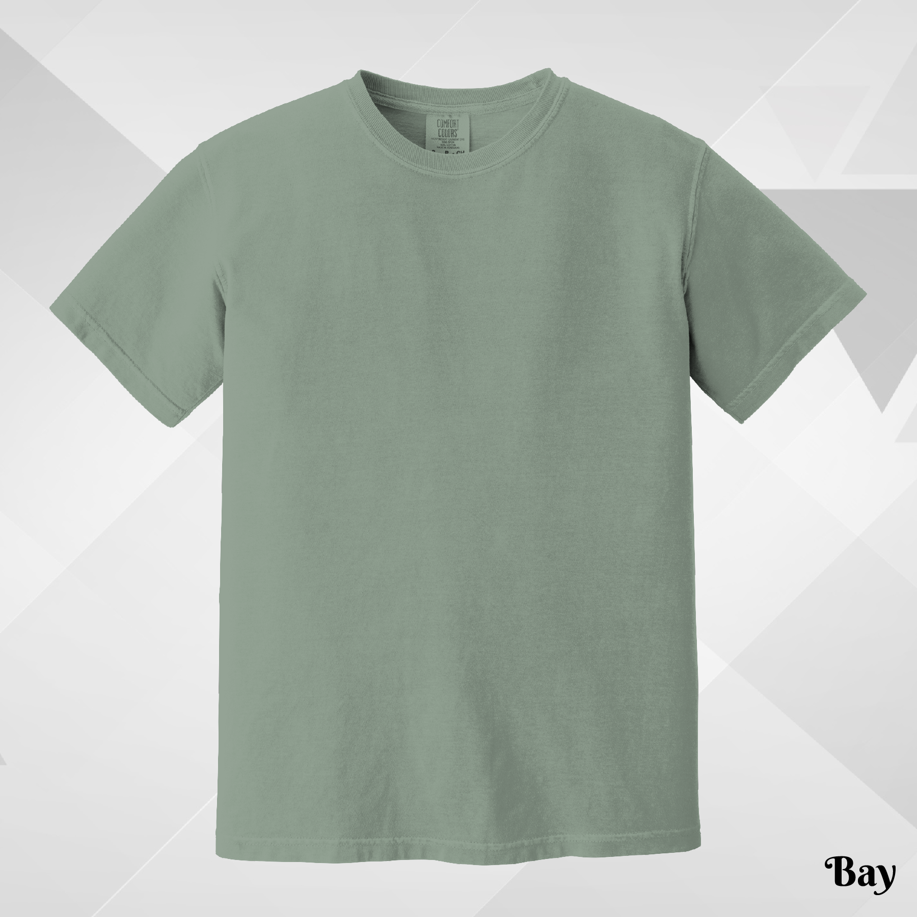 Unisex Blank T-Shirt, Comfort Colors 1717