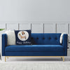 Pillow Template Birthday - PTP11