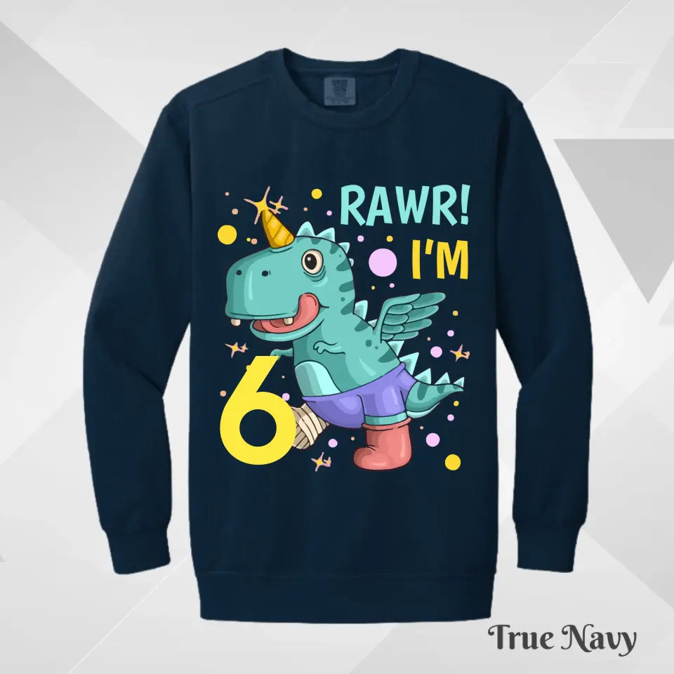 Youth B.day - Sweater