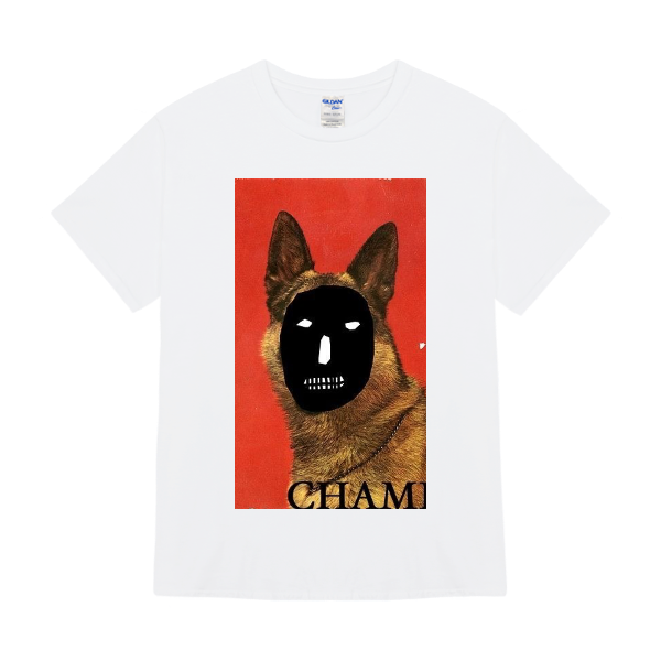 Áo thun PREMIUM - Gildan 76000